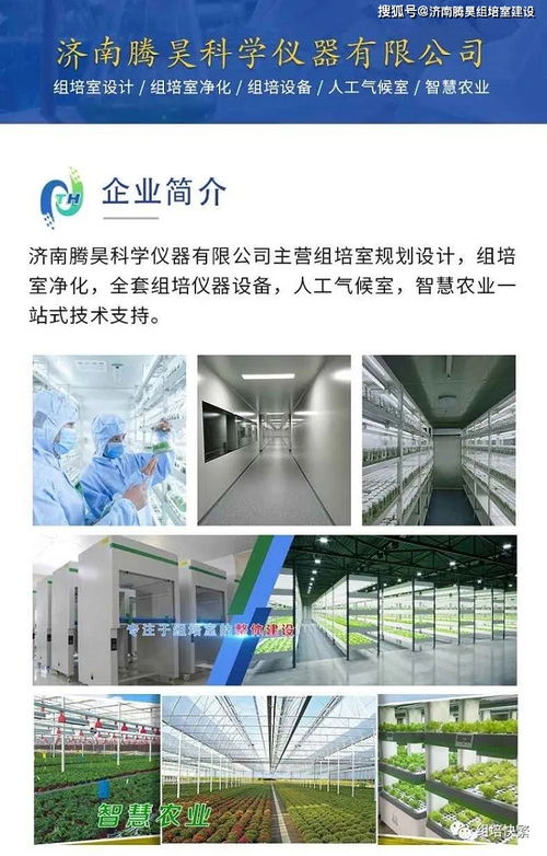 組培室流水線與不銹鋼組培架 現(xiàn)代植物工廠的核心技術(shù)與應(yīng)用推廣
