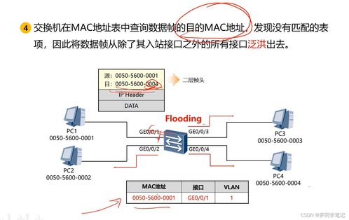 網(wǎng)絡互聯(lián)設備代理代辦 連接世界的橋梁與管家